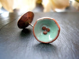 Robins Egg Blue Enamel Stud Earrings