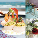Living Coastal Book: Inspirations for Entertaining, Decorating and Cooking California Style