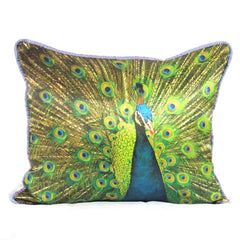 Peacock Joy Bird Pillow