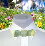 Green Surf Mens Ribbon Bow Tie