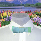 Green Surf Mens Ribbon Bow Tie
